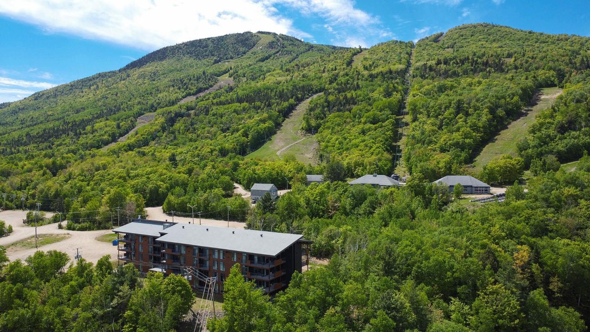 פטיט-ריבייר-סן-פרנסואה Les Appartements Du Massif De Charlevoix מראה חיצוני תמונה